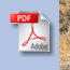 PDF Download